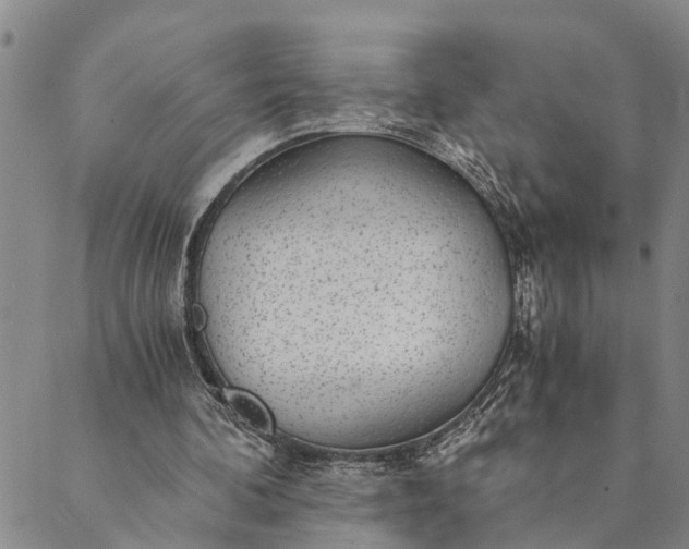 X0000089970292200707131430