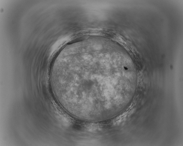 X0000089970293200707131430