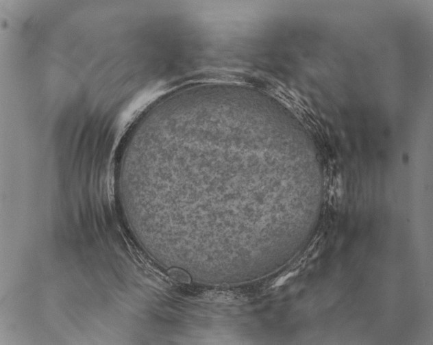 X0000089970294200707131430