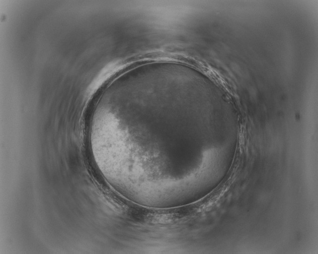 X0000089970295200707131429