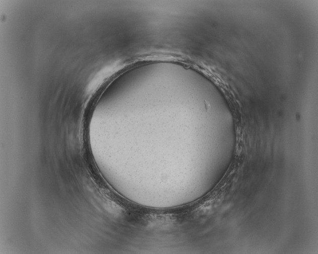 X0000089970296200707131429