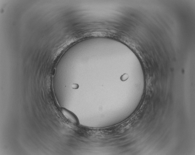 X0000089970297200707131429