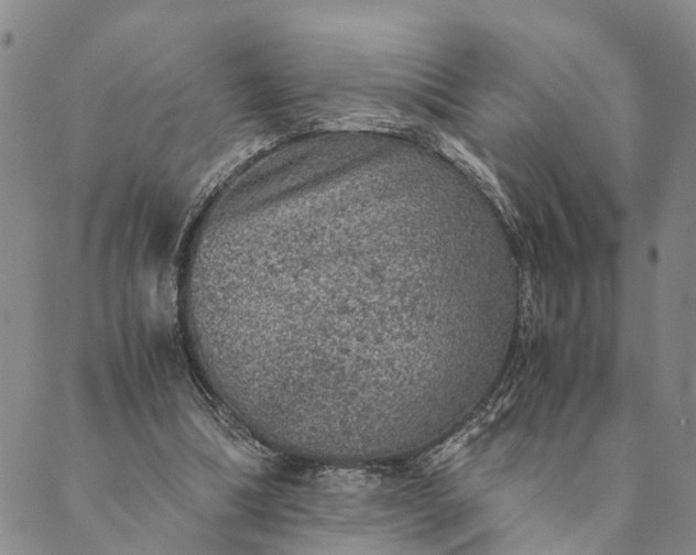 X0000089970298200707131429