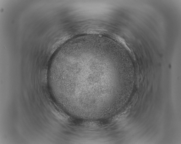 X0000089970299200707131429