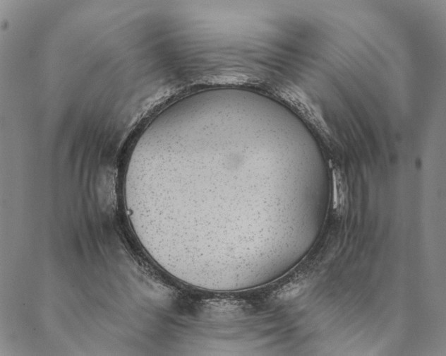 X0000089970300200707131429