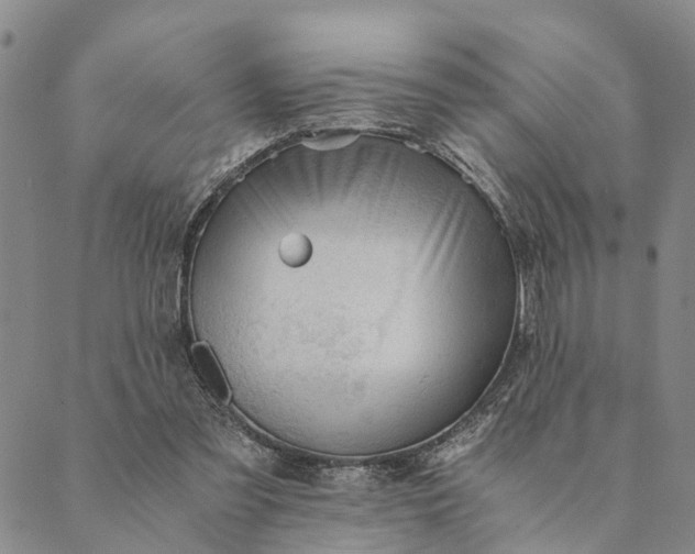 X0000089970301200707131429