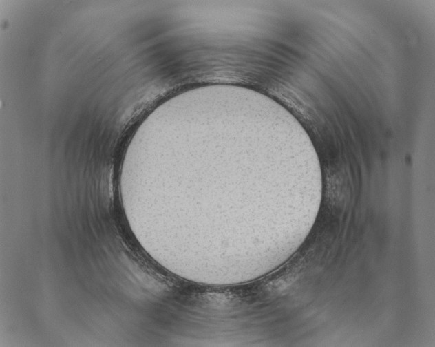 X0000089970302200707131429