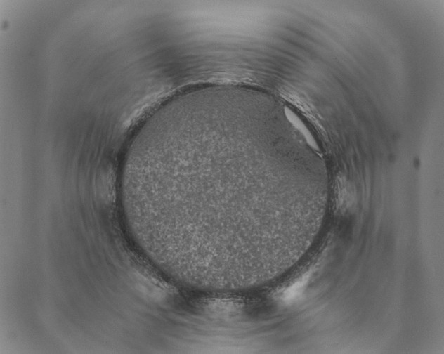 X0000089970303200707131429