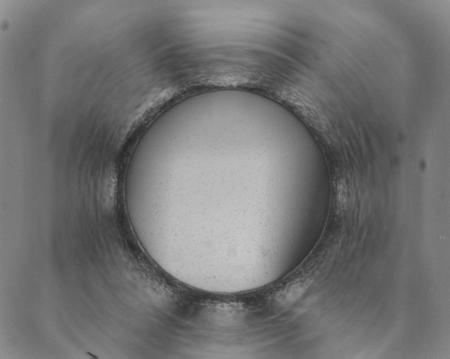 X0000089970304200707131429