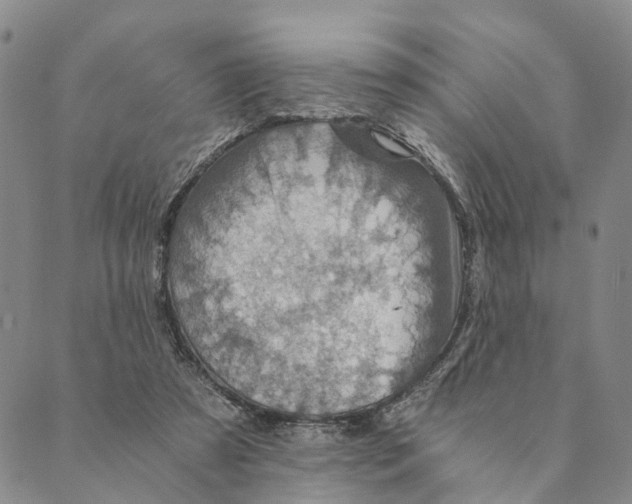 X0000089970305200707131429