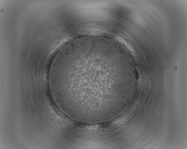 X0000089970306200707131429