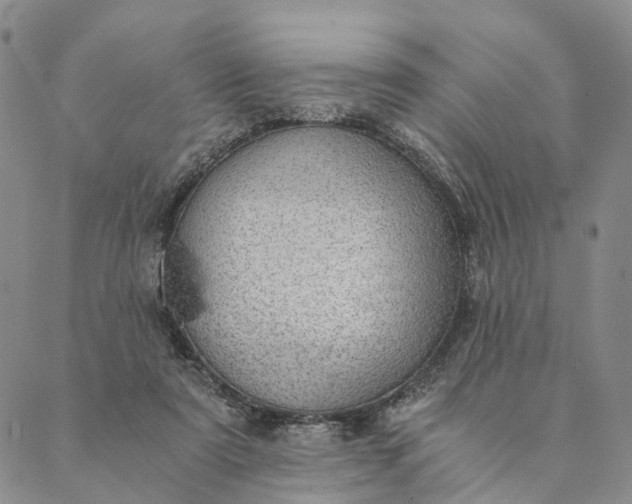 X0000089970307200707131429