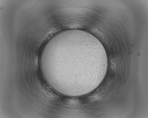 X0000089970308200707131429