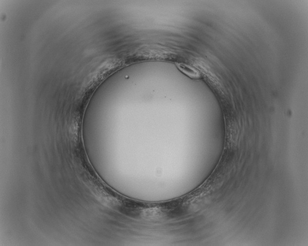 X0000089970309200707131429