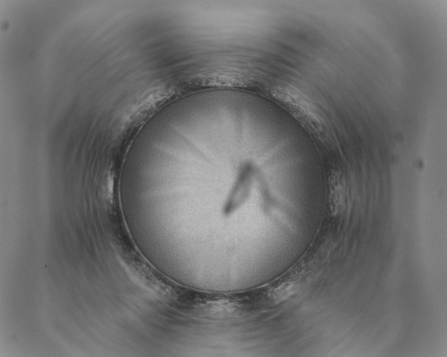 X0000089970310200707131429