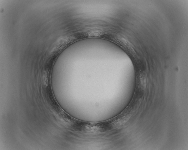 X0000089970311200707131429