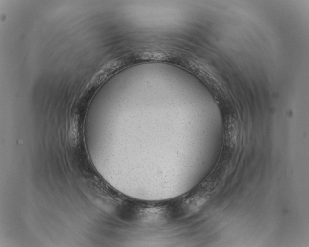 X0000089970312200707131429