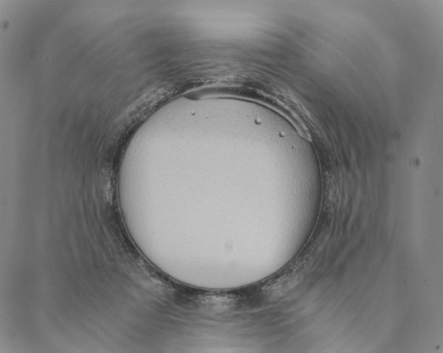 X0000089970313200707131429