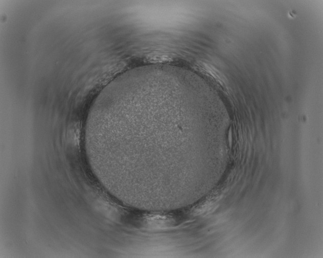 X0000089970315200707131429