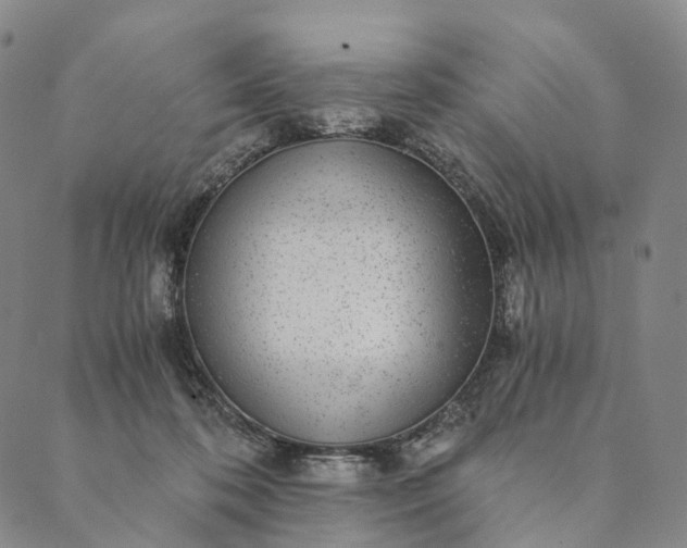 X0000089970316200707131429