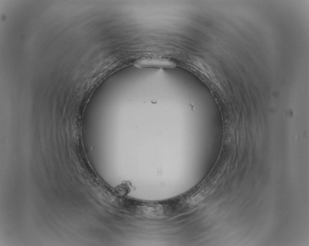 X0000089970317200707131429