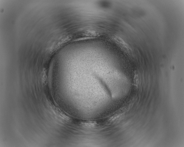 X0000089970318200707131429