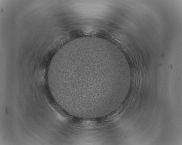 X0000089970319200707131429