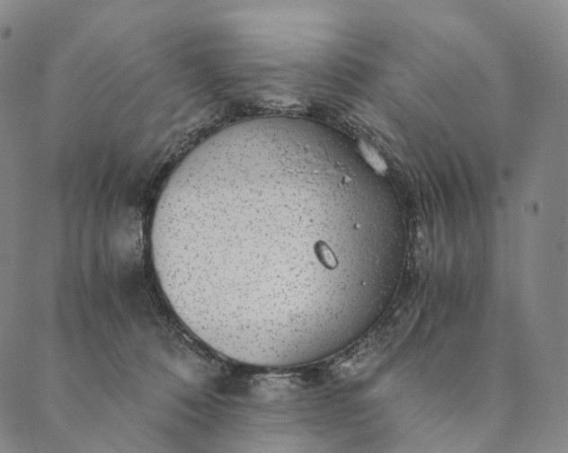 X0000089970320200707131429