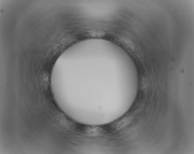 X0000089970321200707131429