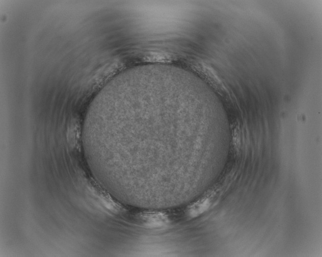 X0000089970322200707131429