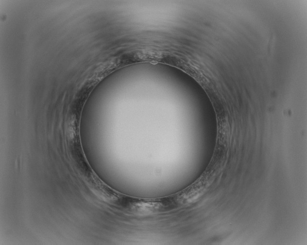 X0000089970323200707131429