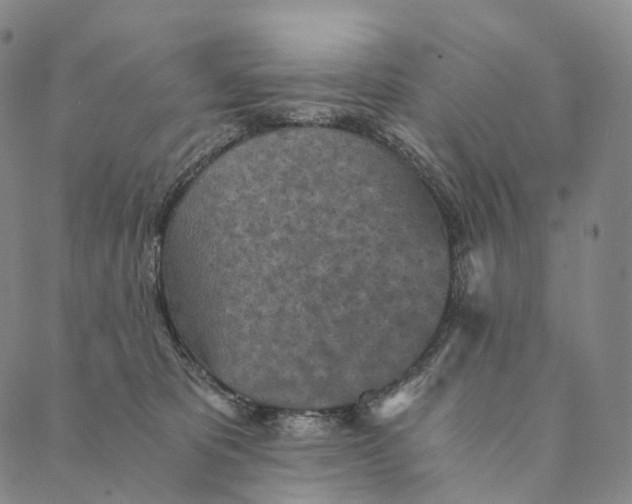 X0000089970325200707131429