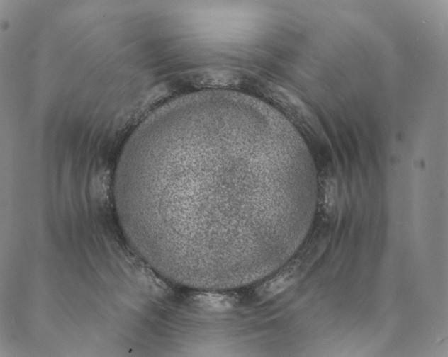 X0000089970326200707131429