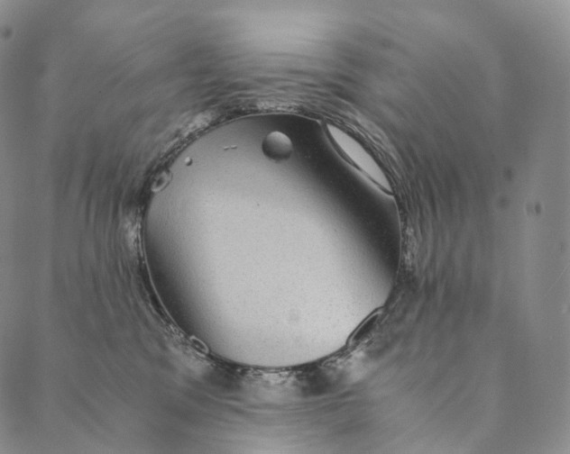 X0000089970329200707131429