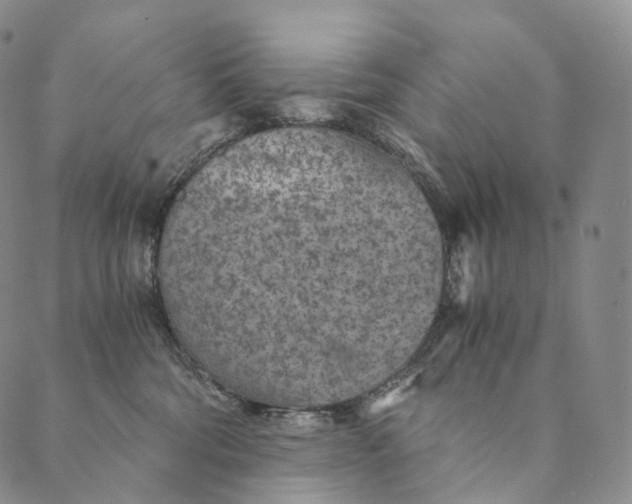 X0000089970330200707131429