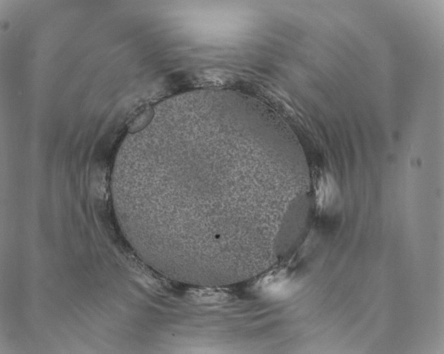 X0000089970331200707131429