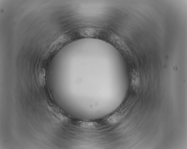 X0000089970332200707131429