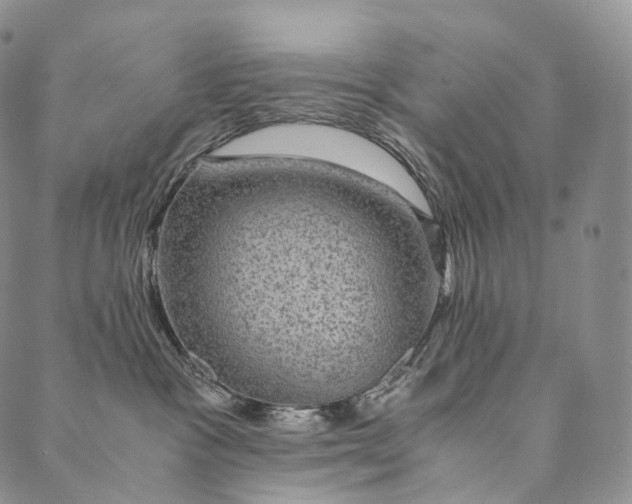 X0000089970333200707131429