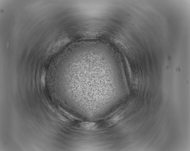 X0000089970334200707131429