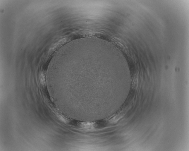 X0000089970335200707131429