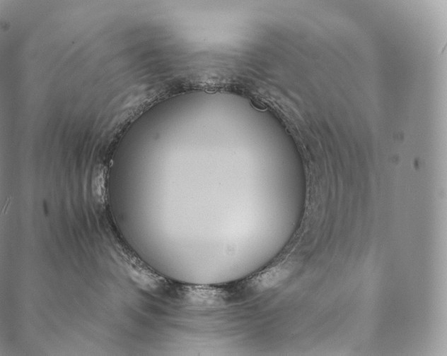 X0000089970336200707131429