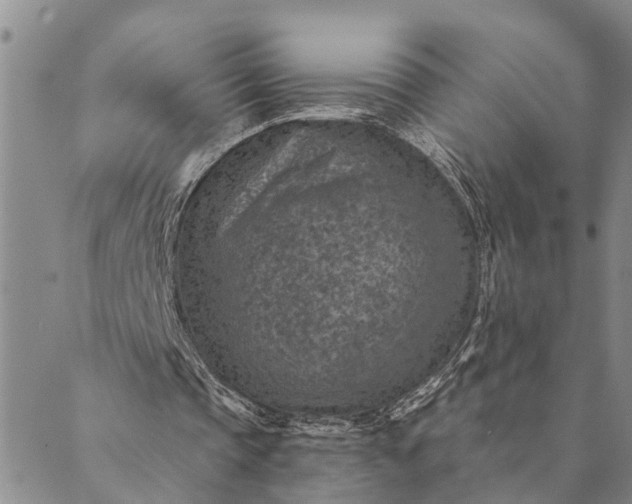 X0000089970337200707131428