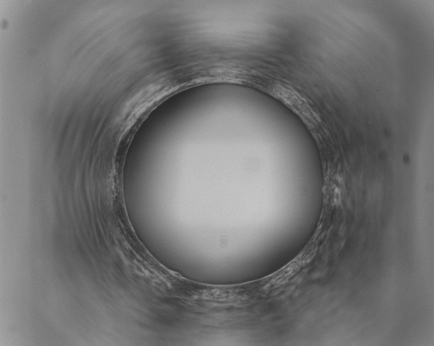 X0000089970338200707131428