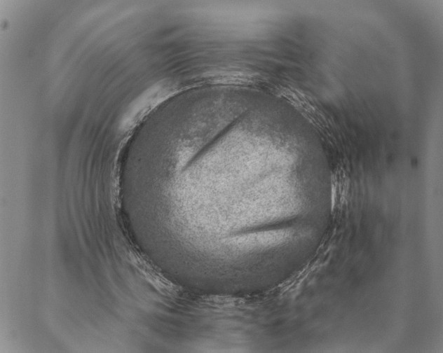 X0000089970339200707131428