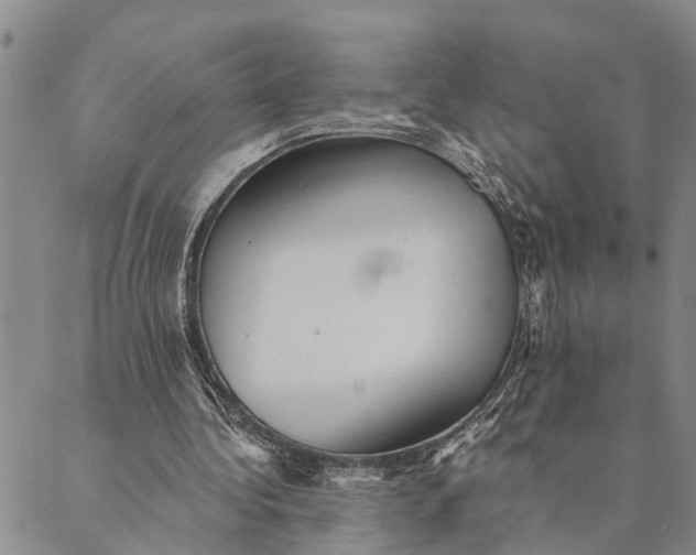 X0000089970340200707131428