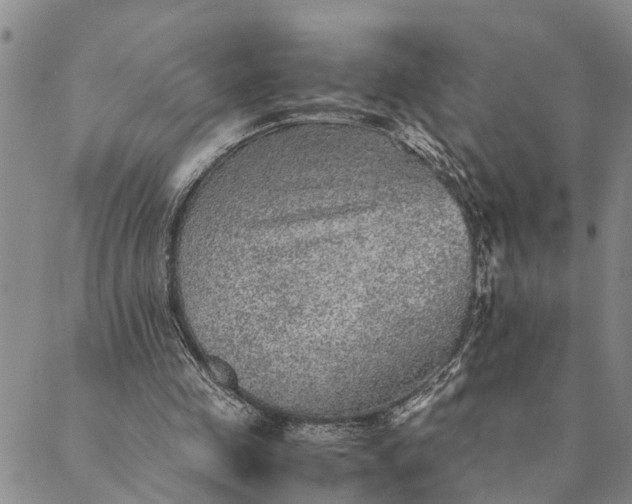 X0000089970341200707131428