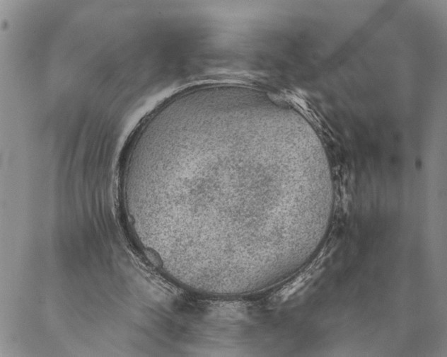 X0000089970342200707131428