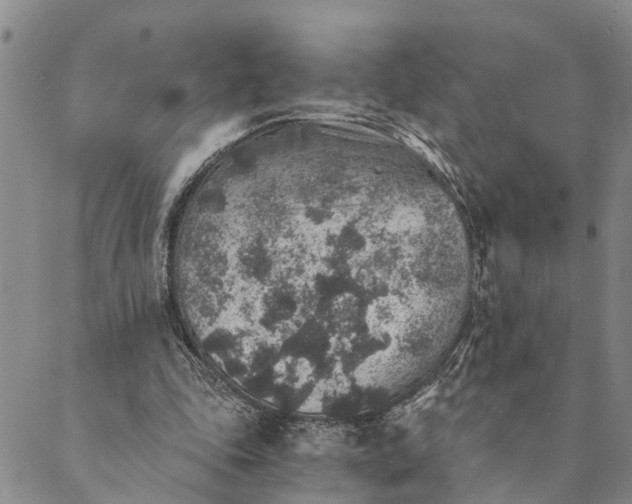 X0000089970343200707131428