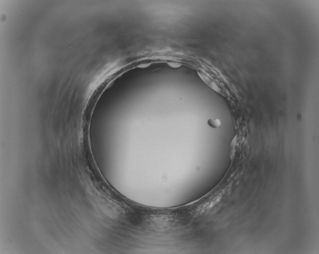 X0000089970344200707131428