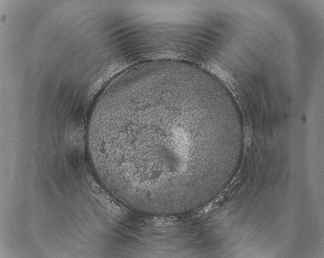 X0000089970345200707131428